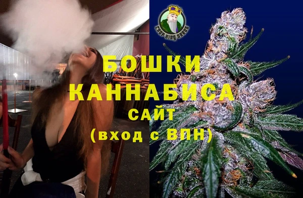 индика Сосновка