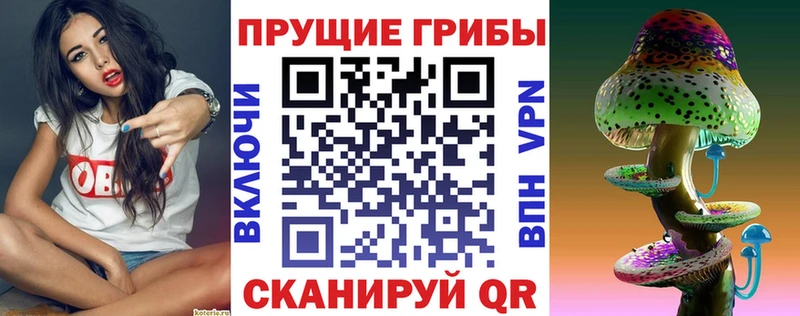 Псилоцибиновые грибы Psilocybe  Красноуральск 